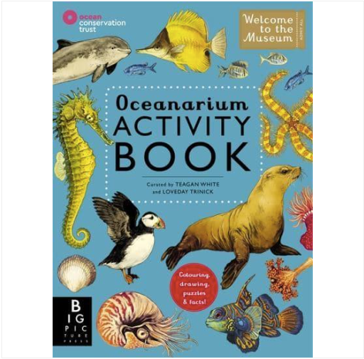 Oceanarium Activity Book by ebbflowcornwall